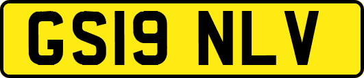 GS19NLV