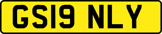 GS19NLY