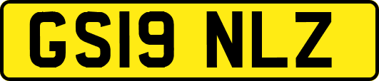 GS19NLZ