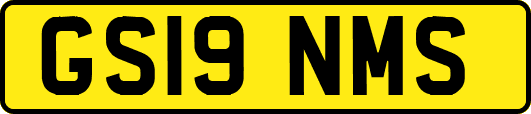 GS19NMS