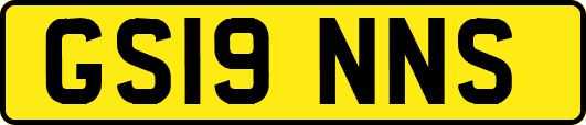 GS19NNS