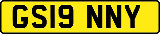 GS19NNY