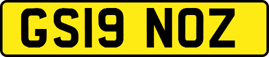 GS19NOZ