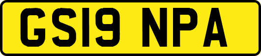 GS19NPA