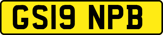 GS19NPB