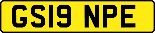 GS19NPE