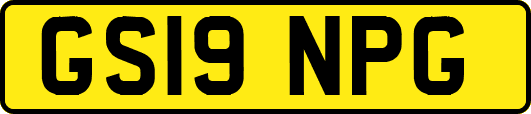 GS19NPG