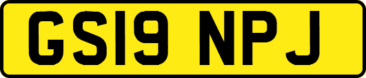 GS19NPJ
