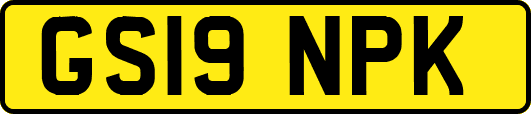 GS19NPK