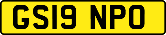 GS19NPO