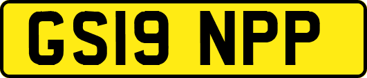 GS19NPP