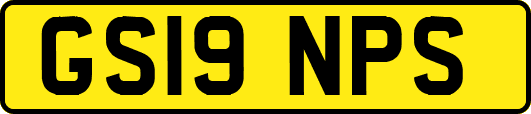 GS19NPS