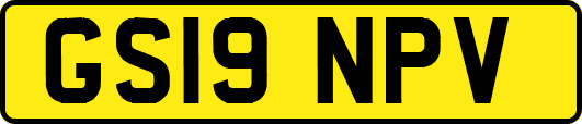 GS19NPV