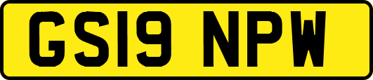 GS19NPW