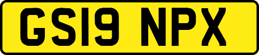 GS19NPX
