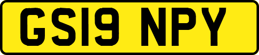 GS19NPY