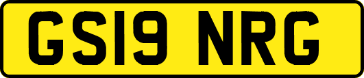 GS19NRG