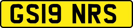 GS19NRS