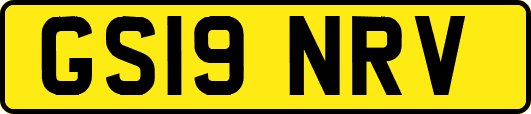 GS19NRV