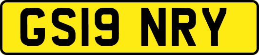 GS19NRY