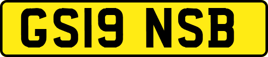 GS19NSB