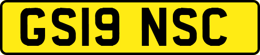 GS19NSC