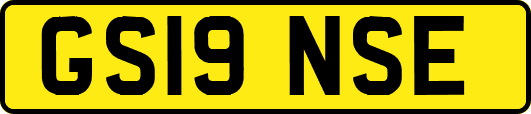 GS19NSE