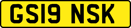 GS19NSK