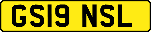 GS19NSL