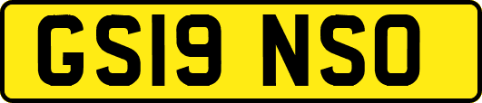 GS19NSO