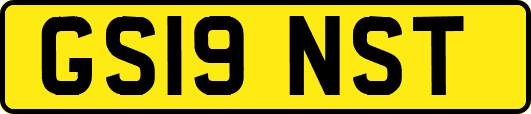 GS19NST
