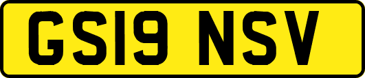 GS19NSV