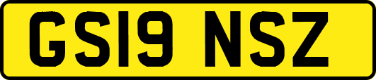 GS19NSZ