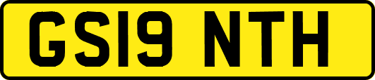 GS19NTH