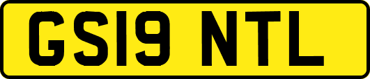 GS19NTL