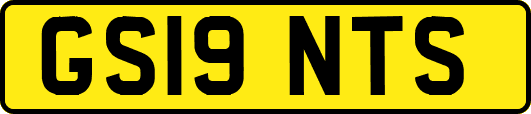 GS19NTS