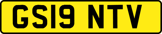 GS19NTV