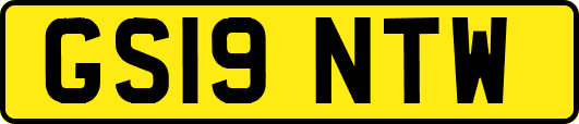 GS19NTW