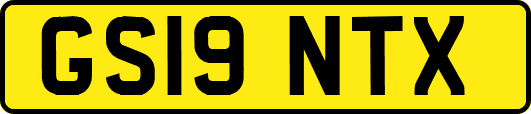 GS19NTX