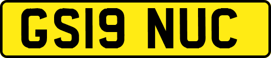 GS19NUC