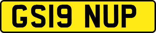 GS19NUP