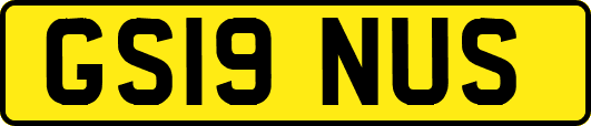 GS19NUS