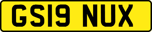 GS19NUX