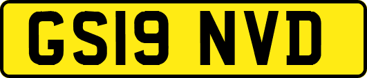 GS19NVD