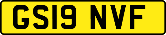 GS19NVF