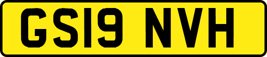 GS19NVH
