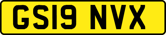 GS19NVX