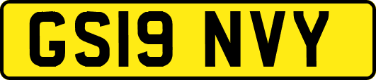 GS19NVY