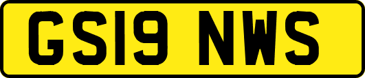 GS19NWS