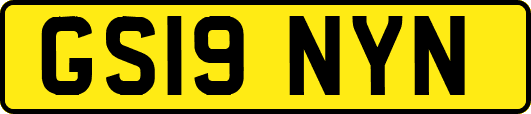 GS19NYN